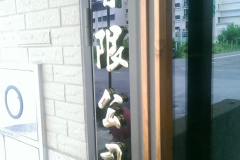 IMAG0341